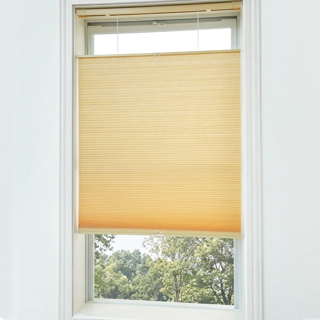 No Drill Custom Light Filtering Top Down Bottom Up Cellular Shades with Magnet (MP)