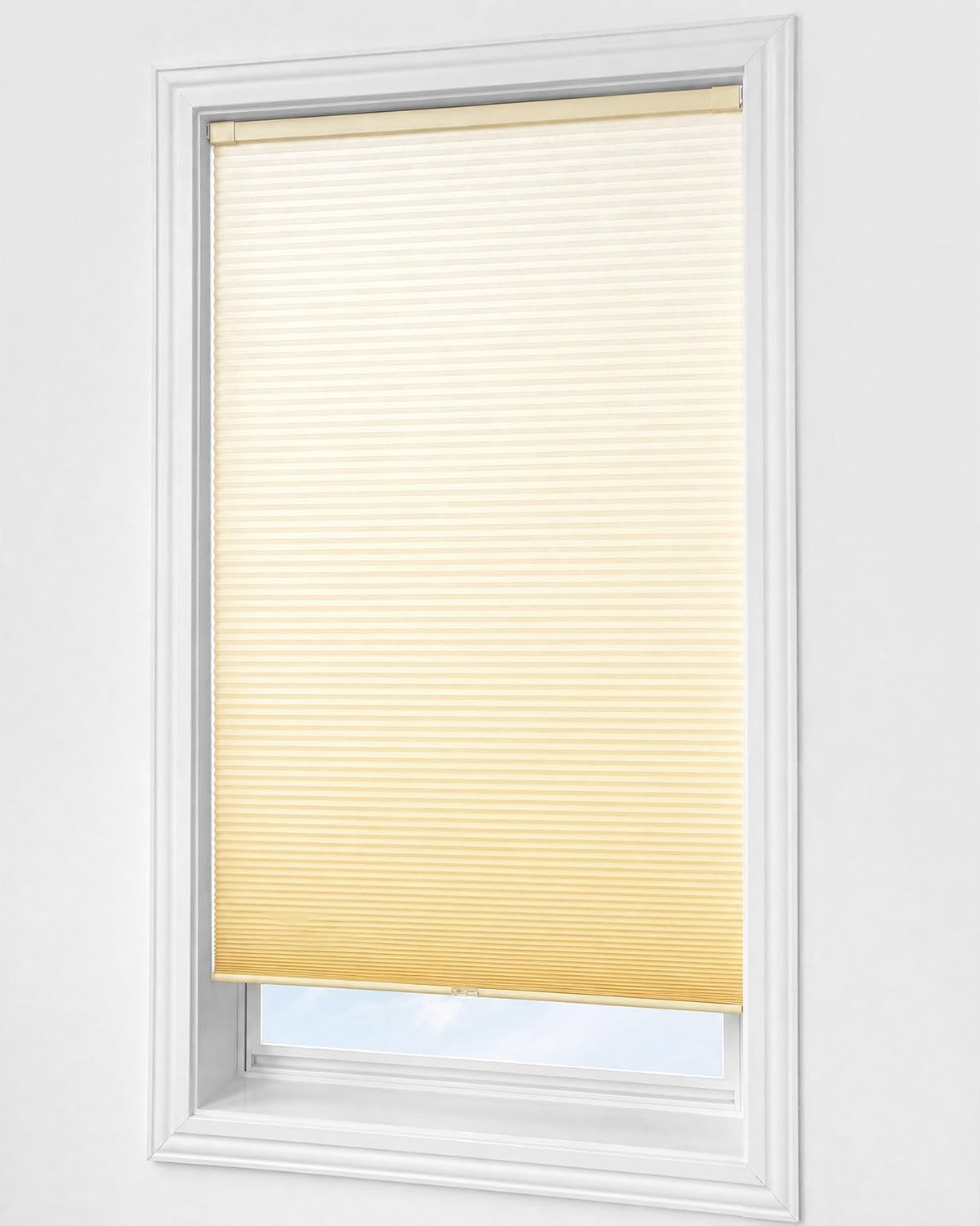 No Drill Custom Light Filtering Printed & Ombre Cellular Shade